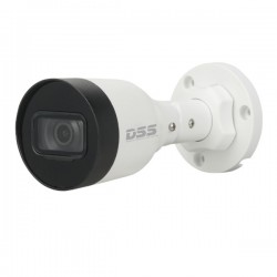 Camera IP Dahua 2MP DS2230SFIP-S2